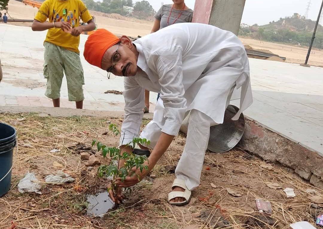 Tree Plantation